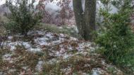 Fontanet: gebrada al bosc  Ramon Sunyer