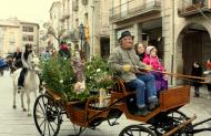 Santa Coloma de Queralt: Festa dels Tres Tombs  Frederic Vallbona