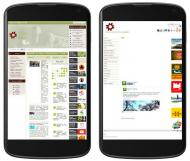 Les webs del Consell Comarcal o Turisme Segarra no estan adaptades a mòbils