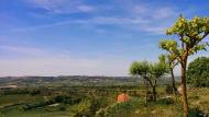 Bellmunt de Segarra: paisatge de la vall d'ondara  Ramon Sunyer