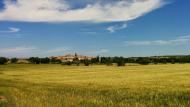 Tarroja de Segarra: els ordis molt enrossits  Ramon Sunyer