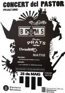 Pujalt: cartell Concert del Pastor 2015 Joan