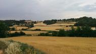 Biure de Gaià: camps de cereals  Ramon Sunyer