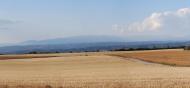 Ferran: Panoràmica de l'altiplà II  Ramon Sunyer