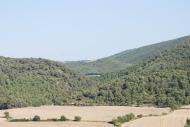 Valldeperes: Mirant cap a sant Magí  Ramon Sunyer