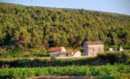 Vallespinosa: vista del poble  Ramon Sunyer