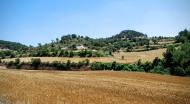 Montlleó: Paisatge de la rasa del Coguelera  Ramon Sunyer