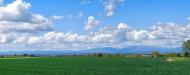 Vicfred: Vista del Montsec  Ramon Sunyer