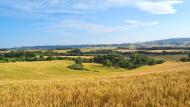 Bellmunt de Segarra:   Ramon Sunyer