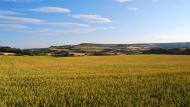 Bellmunt de Segarra:   Ramon Sunyer