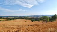 Bellmunt de Segarra:   Ramon Sunyer