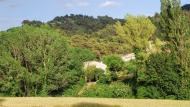 Rocamora: paisatge Ramon Sunyer