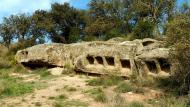 Montcortès de Segarra: columbari  Isidre Blanc