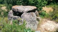 Els Plans de Ferran: sepulcre Megalític Ramon Sunyer