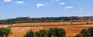 Santa Fe: Vall del Sió  Ramon Sunyer