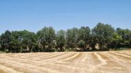 Tarroja de Segarra: ribera del Sió  Ramon Sunyer