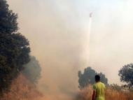 Pallerols:   David Roig