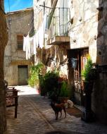 Palouet: carrer  Ramon Sunyer