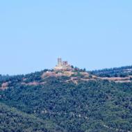 Boixadors:   Ramon Sunyer