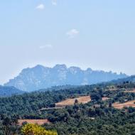 Sant Pere Sallavinera: vista de Mpontserrat  Ramon Sunyer