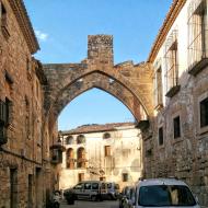 Vallbona de les Monges:   Ramon Sunyer