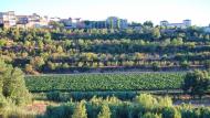 Ciutadilla: vinyes  Ramon Sunyer