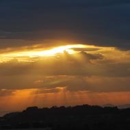 Ribera d'Ondara:   Ramon Sunyer