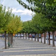 Guissona: passeig  Ramon Sunyer