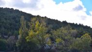 Rocamora: paisatge de tardor Ramon Sunyer