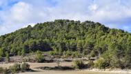 Rocamora: paisatge de tardor Ramon Sunyer