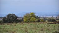 El Canós: paisatge  Ramon Sunyer