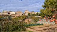 El Canós: vista des dels horts  Ramon Sunyer