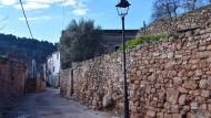Porquerisses: Ramon Sunyer
