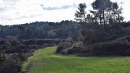 Porquerisses: Ramon Sunyer