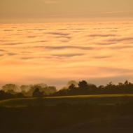 Pujalt: Ramon Sunyer