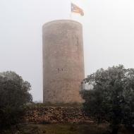 La Manresana: Ramon Sunyer