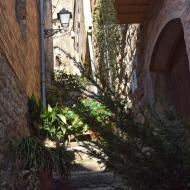 Bellver d'Ossó:   Ramon Sunyer