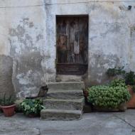 Ossó de Sió:   Ramon Sunyer