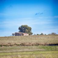 La Cardosa: Paisatge  Ramon Sunyer