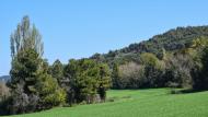 Rocamora: Paisatge Ramon Sunyer