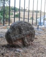 Les Coromines: Església de Santa Maria  Ramon Sunyer