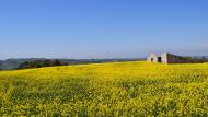 Bellmunt de Segarra:   Ramon Sunyer