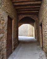 Conesa: Pas cobert  Ramon Sunyer