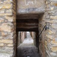 Conesa: Pas cobert  Ramon Sunyer