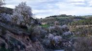 Vallfogona de Riucorb: Paisatge  Ramon Sunyer