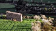 Montornès de Segarra: Paisatge  Ramon Sunyer