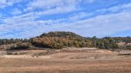 Montornès de Segarra: Paisatge  Ramon Sunyer