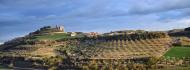 Montornès de Segarra: vista sud  Ramon Sunyer