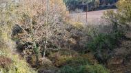 Porquerisses: paisatge  Ramon  Sunyer