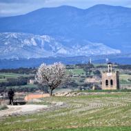 Guissona: XIX Marxa dels Castells  Ramon Sunyer